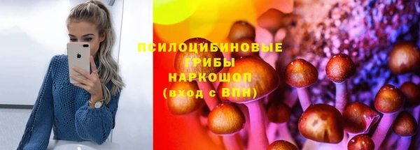 стаф Зерноград
