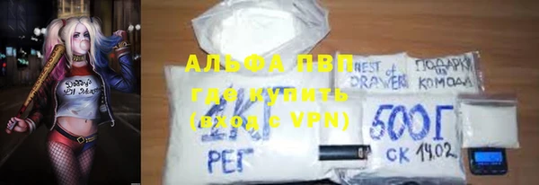 стаф Зерноград