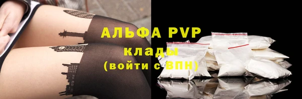 ПСИЛОЦИБИНОВЫЕ ГРИБЫ Зеленодольск