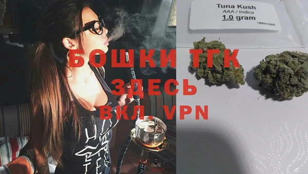 ПСИЛОЦИБИНОВЫЕ ГРИБЫ Зеленодольск