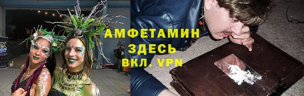 стаф Зерноград