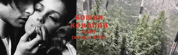 стаф Зерноград