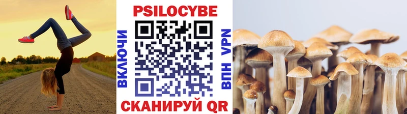 Галлюциногенные грибы ЛСД Чухлома